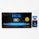 【BD Pharma】 HCG 5000 iu×10バイアル