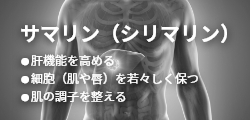 サマリン（シリマリン）● 肝機能を高める ● 細胞（肌や唇）を若々しく保つ ● 肌の調子を整える