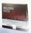 【Munster Labo】ボルデンM250(Bolden)　250mg 5アンプル