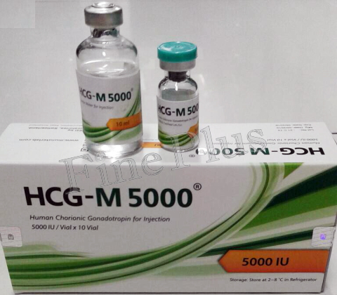 Munster Laboratories HCG